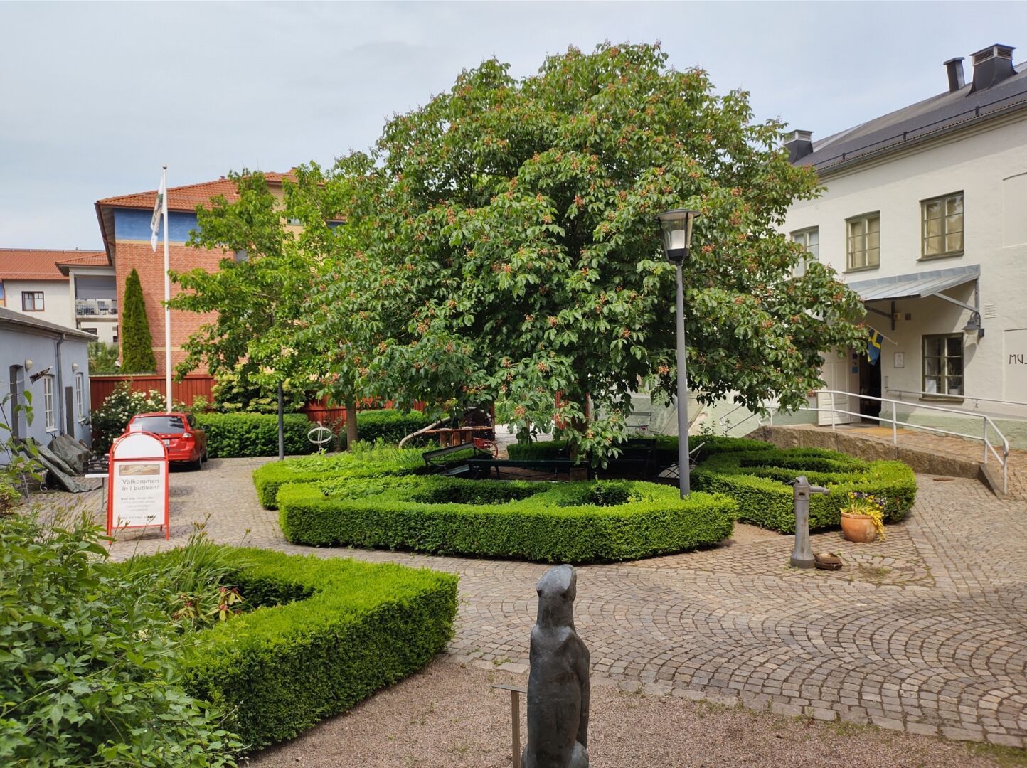 Large chestnut tree surrounded by low boxwood hedges in a courtyard.